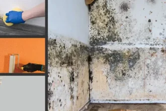 7 Cara Membasmi Jamur Dinding Paling Ampuh demi Menangkal Bahaya Penyakit Pernapasan memperlihatkan cara membasmi jamur dinding