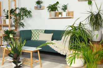 7 Cara Membersihkan Udara Rumah Paling Efektif demi Menangkal Bahaya Polusi Terselubung memperlihatkan cara membersihkan udara rumah