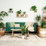 7 Cara Memperbaiki Kualitas Udara dalam Rumah Paling Ampuh demi Menangkal Bahaya Penyakit Pernapasan memperlihatkan kualitas udara dalam rumah