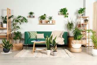 7 Cara Memperbaiki Kualitas Udara dalam Rumah Paling Ampuh demi Menangkal Bahaya Penyakit Pernapasan memperlihatkan kualitas udara dalam rumah