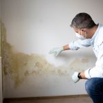 7 Cara Mengatasi Jamur Dinding Paling Ampuh demi Menangkal Bahaya Racun Spora di Rumah memperlihatkan cara mengatasi jamur dinding