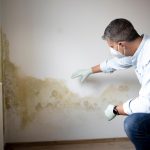 7 Cara Mengatasi Jamur Dinding Paling Ampuh demi Menangkal Bahaya Racun Spora di Rumah memperlihatkan cara mengatasi jamur dinding