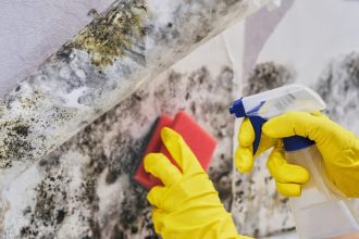 7 Cara Menghilangkan Jamur Dinding Paling Ampuh demi Menangkal Ancaman Racun Pernapasan Keluarga memperlihatkan cara menghilangkan jamur dinding