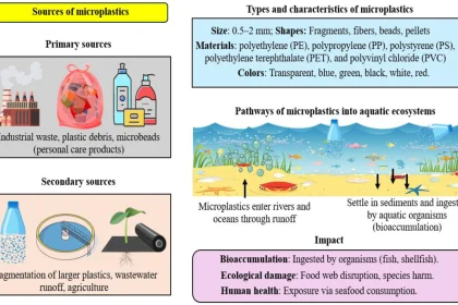 7 Fakta Krusial Bahaya Paparan Mikroplastik demi Menangkal Ancaman Kerusakan Tubuh Terburuk memperlihatkan bahaya paparan mikroplastik