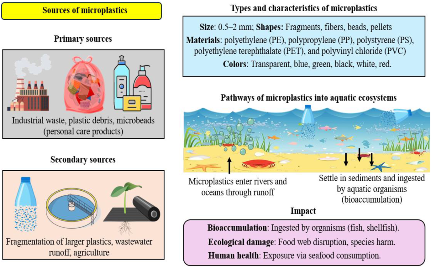 7 Fakta Krusial Bahaya Paparan Mikroplastik demi Menangkal Ancaman Kerusakan Tubuh Terburuk memperlihatkan bahaya paparan mikroplastik