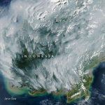 5 Fakta Nyata Ancaman Karhutla di Kalimantan yang Memantik Sorotan Kritis Dunia mengulas karhutla di kalimantan