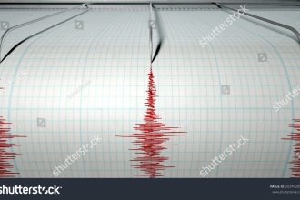 BMKG Gempa Hari Ini Bongkar 5 Fakta Mengejutkan dari Flores hingga Pacitan mengulas bmkg gempa hari ini