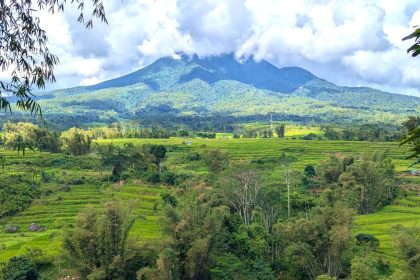 5 Fakta Kunci Peristiwa Mengguncang Kabupaten Manggarai dari Ketegasan Hukum hingga Pemulihan Pascabencana mengulas kabupaten manggarai