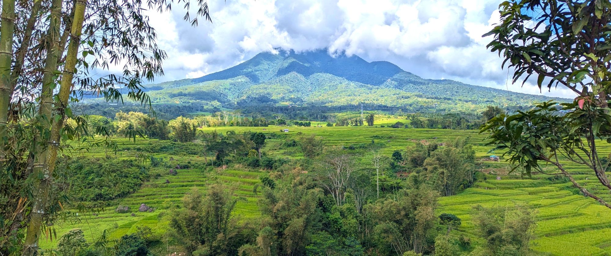 5 Fakta Kunci Peristiwa Mengguncang Kabupaten Manggarai dari Ketegasan Hukum hingga Pemulihan Pascabencana mengulas kabupaten manggarai