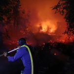 Tragedi Mencekam Karhutla Kalimantan Meluas 513 Hektare dan Jeratan Pidana 9 Korporasi Sawit mengulas karhutla kalimantan