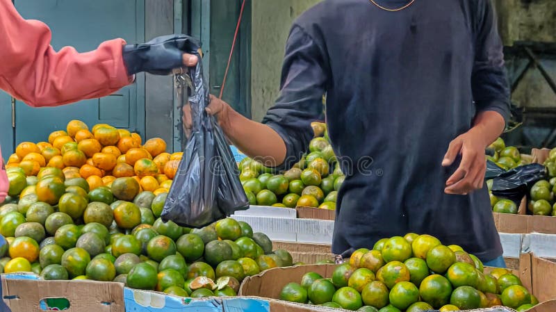 Panduan praktis langkah nyata seputar dampak kenaikan tarif ppn