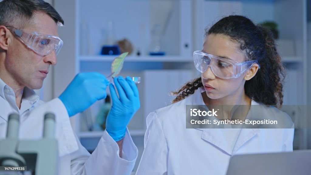 Sorotan analisis fakta seputar badan pengelola dana perkebunan