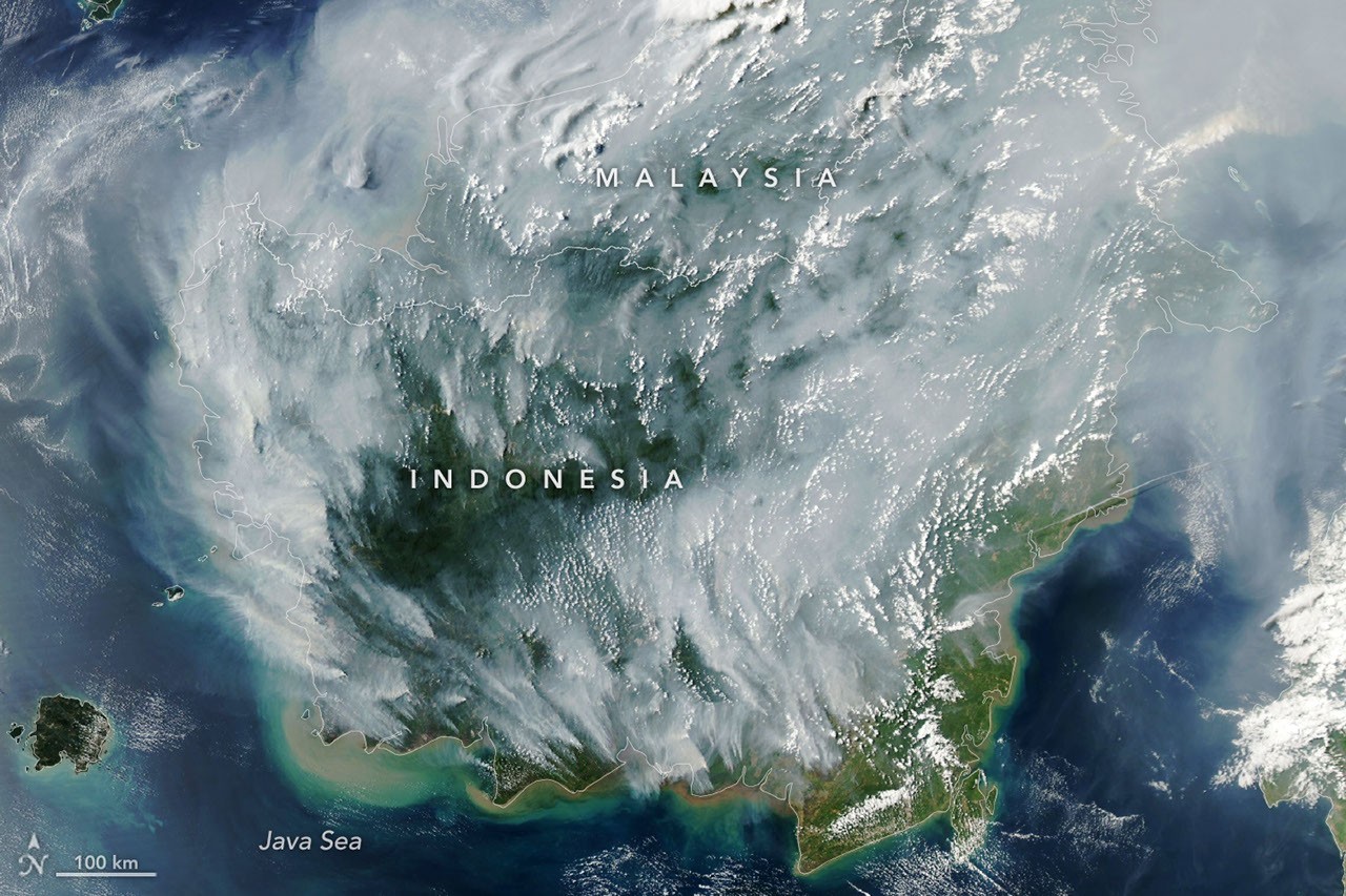 Sorotan analisis fakta seputar penetapan tersangka