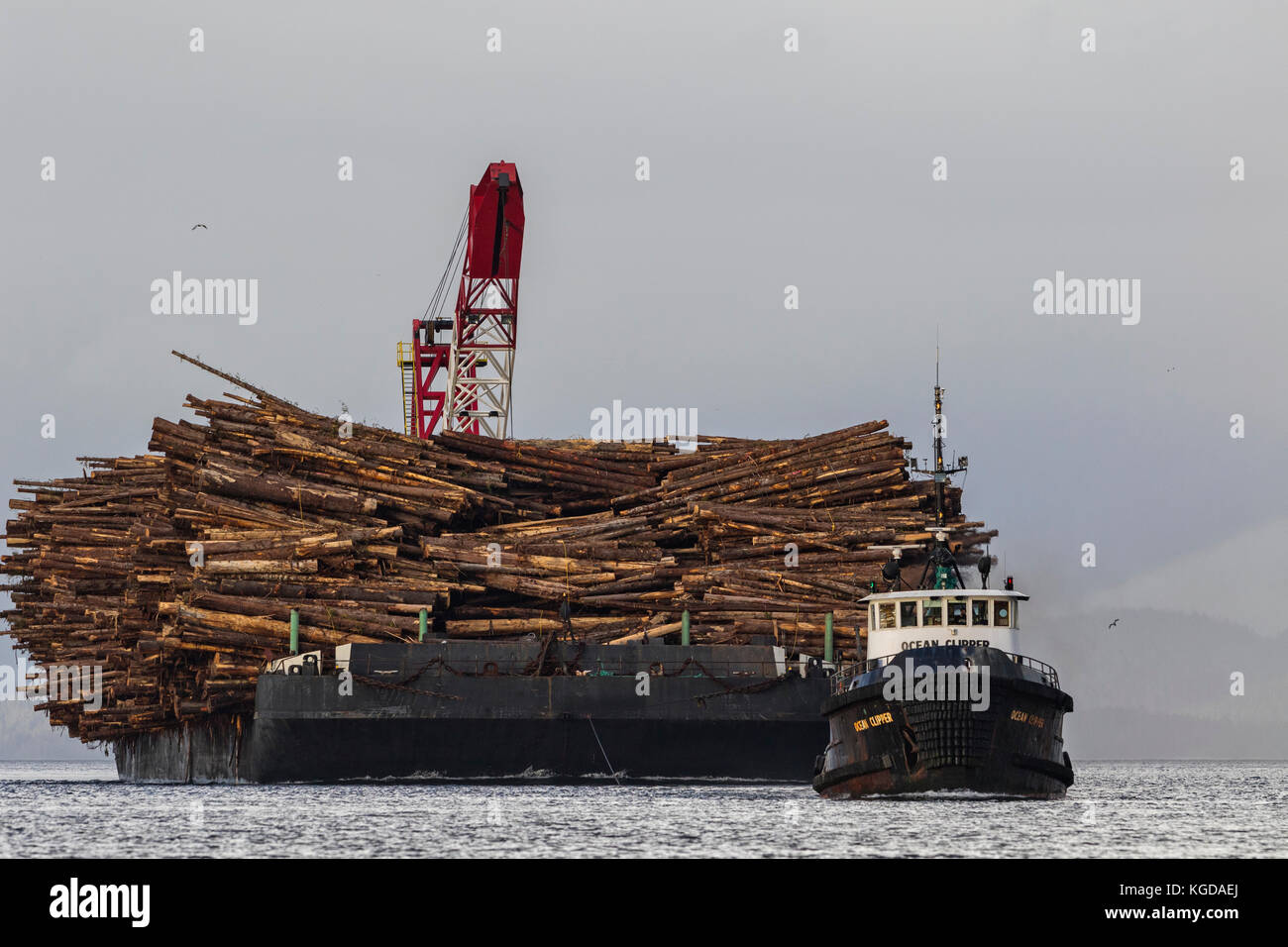 Sorotan analisis fakta seputar pulau buru